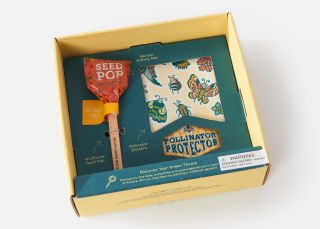 Pollinator Protector Activity Kit image number 0